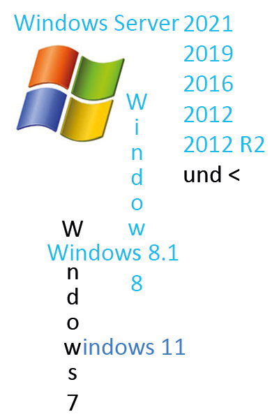 Wir beherrschen alle Arten von Windows Betriebssystemen